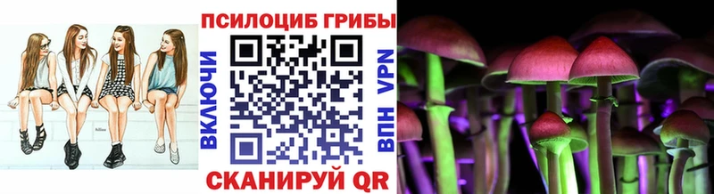 Купить закладки  Углич  Галлюциногенные грибы Cubensis 
